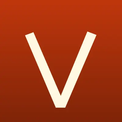 Voodoo, сервисный центр, лого-визитка